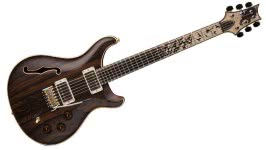 Фото PRS Limited Edition DGT Birds of a Feather