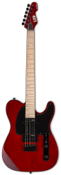 Фото LTD TE-200 MSTBC​​​​​​​ 