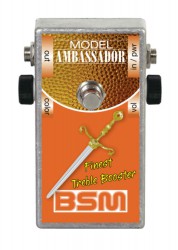 Фото BSM Ambassador