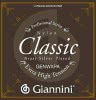 Фото Giannini Classic