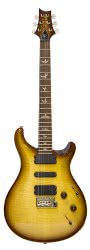 Фото PRS 513 VN