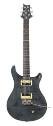 Фото PRS SE CUSTOM GB (Gray Black)