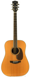Фото Акустическая гитара Parkwood PW-510